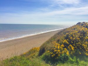 The Dower Retreat