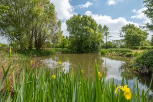 The Hayloft – East Green Farm Cottages