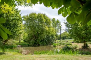 The Hayloft – East Green Farm Cottages