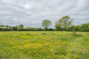 Gardeners Cottage – East Green Farm Cottages