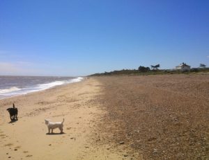 Beach Lodge