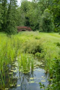 The Cart Lodge