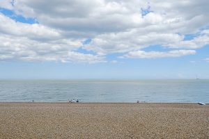 Shore View