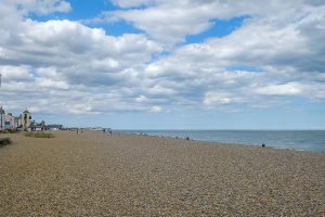Shore View
