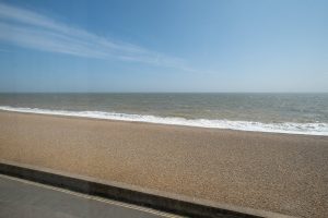 Shore View