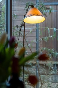 Wodehouse – Eco House